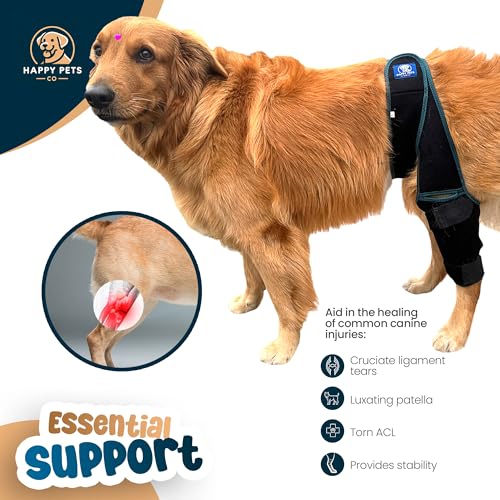 Image of Dog Knee Brace Adjustable Front Hind Leg Brace for Cruciate Ligament Injury, Luxating Patella, Torn ACL