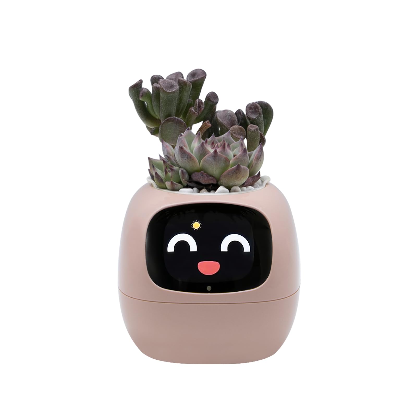 Amazon.com : Odpaltoy Smart Plant Pot with Expression, AI