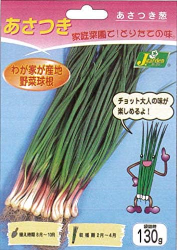 Amazon カネコ種苗 あさつき １３０ｇ 球根