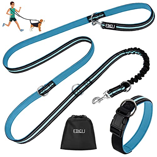 Julius-K9, 216GM-B-3, Color & Gray gumierte Leine, blau-grau, 20 mm x 3 m ohne Schlaufe, max für 50 kg Hunde 4 ETACCU Doppelte Leinen Freihandleinen Übungsleinen mit Rollleinen 3M für Mittelgroße Große Hunde Robuste Rutschfester Griff, Ohne Verwicklung, Reflektierende Einziehbare Hundeleine (Blau)