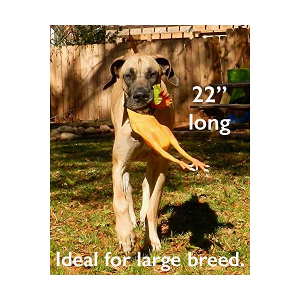 Rubber-Chicken-Dog-Toys-Natural-Rubber-Latex-Lead-Free-Chemical-Free-Complies-with-Same-Safety-Standards-as-Baby-Toys-Soft-Unstuffed-Squeaky-Extra-Large Extra-Large Rubber Chicken Dog Toy: Unleash the Fun!