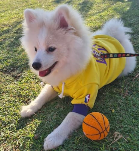 Moletom Pet Roupa Para Cachorro e Gato Lakers (GG)