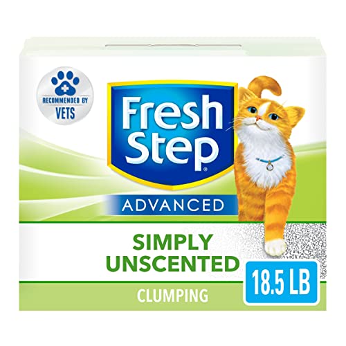 Best Cat Litter for Smell in 2022 (with Reviews!) The Halo Pets