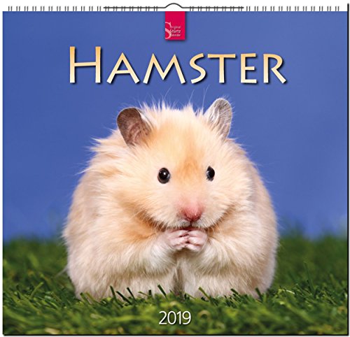 MF-Kalender HAMSTER 2019 MF-Kalender HAMSTER 2019