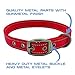 Max and Neo MAX Reflective Metal Buckle Dog Collar - We Donate a Collar to a Dog Rescue for Every Collar Sold (Medium, RED)