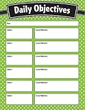 Teacher Created Resources Lime Polka Dots Daily Objectives Chart (7555)