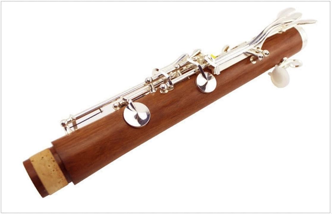 Wooden Clarinet Instrument B flat Silver plated Keys Clarinet