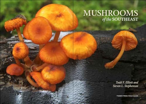Timber Press ILLUSTRATED Mushrooms Of The Southeast thumb #2