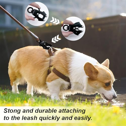 DIFLAX Frosch Clip Hundeleine Schnallen 360 Grad drehbare Clip Karabiner Hundeleine Heavy Duty Schnellspanner und Verriegelung Hundeleine Schnalle für die Befestigung Haustier Halsband