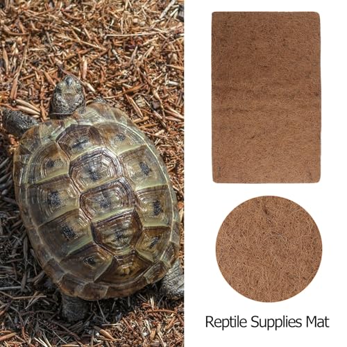 Fibra de Coco para Reptiles en Pack de 3 Tapices Ideales para Terrarios Medianos 7