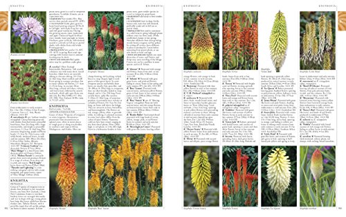 Image of RHS A-Z Encyclopedia of Garden Plants 4th edition