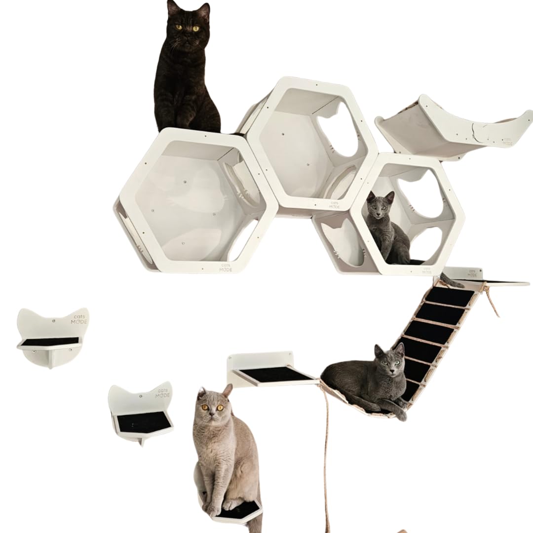 Wall Cat Shelves Wood Cat Wall Shelves Cat Furniture - Wooden Cat Shelf Wall Mounted Cat Wall Furniture - Indoor Cats Rustic Cat Decor Cat Lover Gift (Cat Wall Bed)
