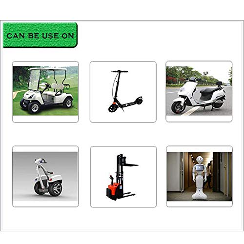 Zvivi 48 Volt 6 Amp Caricabatteria per Auto Club