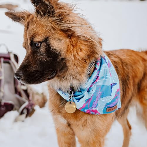 Image of Wilderdog Dog Bandana with Lightweight Quick Drying Poly-Blend Mesh Material in Alpenglow