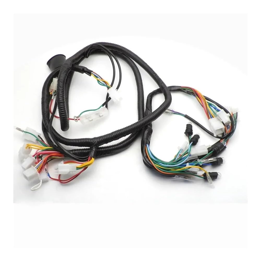 Assemblée de câblage de faisceau de câbles de cyclomoteur du scooter 150CC compatible avec la magnéto de 11 pôles 8 pôles(8 POLE)