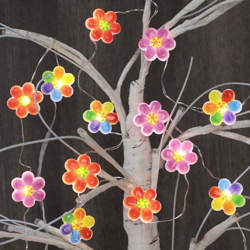 Image of Colorful Flower String Lights 10FT 30LEDs USB & Battery Powered Cute Rainbow Floral Fairy Twinkle Lights with Remote Timer Decorative for Bedroom, Dorm, Girls Room & Christmas Home Decor