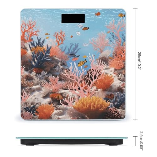 Báscula digital Coral Reef para baño 26x26 cm vidrio templado miniatura 2