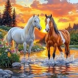 Photo Gallery keyifa cavalli diamond painting kit completo, 5d diy animali creativi diamond painting per adulti, crystal art kit pittura adulti, decorazioni per pareti domestiche 30x30cm Photo Gallery keyifa cavalli diamond painting kit completo, 5d diy animali creativi diamond painting per adulti, crystal art kit pittura adulti, decorazioni per pareti domestiche 30x30cm