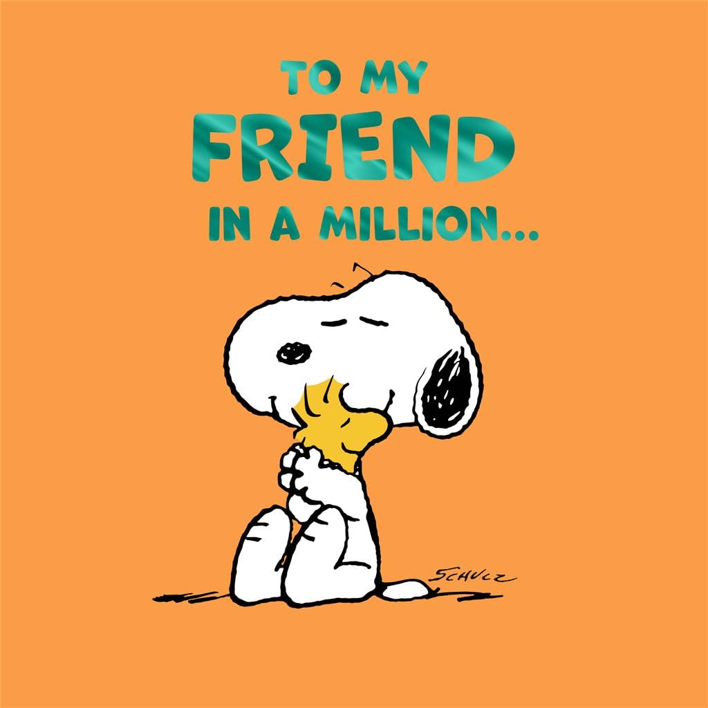 CardsHallmark Peanuts Snoopy Friend Birthday Thank You Friendship To My Friend in a million...