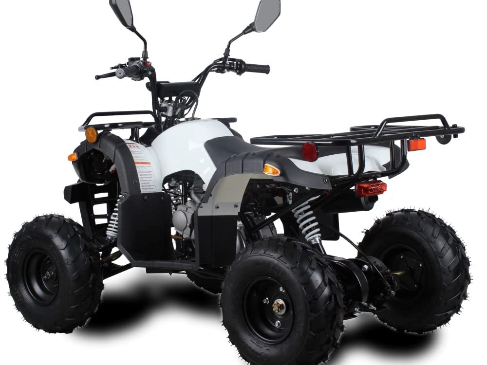 Amazon | IceBear(アイスベアー) 四輪バギー ATV 50cc 前進1速バック付