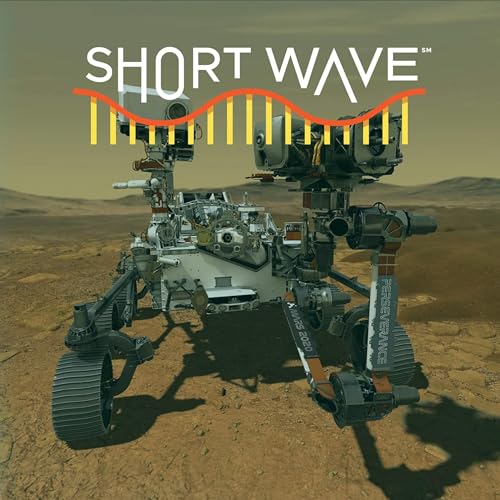 『The Most Convincing Evidence Yet Of Life On Mars』のカバーアート