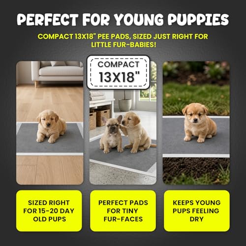 Image of FPN Puppy Pads for Dogs Charcoal | Disposable Pee Pads for Puppies & Small Dogs | Pet Training Pads for Potty Training, Small Dog Pee Pads, Puppy Pads Bulk (100, 13x18 inch)