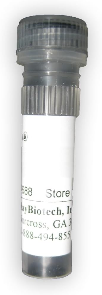 RayBiotech Rabbit Anti-Vancomycin, 1 ml DS-PB-02067
