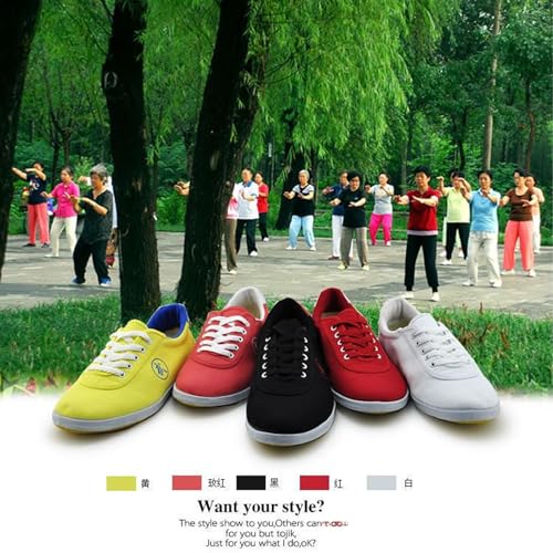 Kung fu Shoes Taekwondo Shoes Unisex Martial Arts Shoes Boxing Karate Tai chi Training Shoes Canvas Non Slip(Size:44EU,Color:B)4