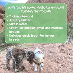 Nature Gnaws Usa Turkey Tendons for Canine Premium Pure Chew Treats Scrumptious Reward Snack for Small Medium Giant Canine Made in the Usa 4 Oz Bag Cucciolini Doodles Nature gnaws usa turkey tendons for canine premium pure chew treats scrumptious reward snack for small medium giant canine made in the usa 4 oz bag cucciolini doodles