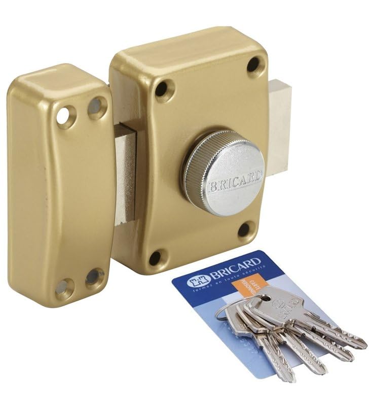 Verrou de sécurité pour porte à bouton et clé Bricard Cylindre Astral 42 mm 3 clés Avec contre plaque