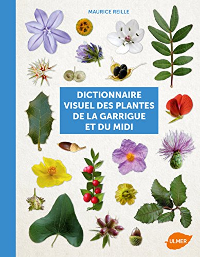 Télécharger Dictionnaire visuel des plantes de la garrigue et Francais PDF