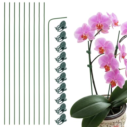 Nogeqi Lot de 10 tiges d'orchidées flexibles avec 10 clips pour plantes pour l'intérieur et l'extérieur (40 cm)