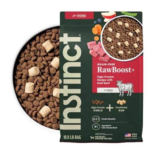 Instinct Raw Boost Grain Free Recipe with Real Beef Natural Dry Dog Food, 10 lb. Bag