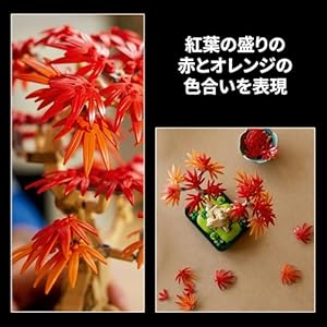 Amazon.co.jp - レゴ® ボタニカル 盆栽 もみじ 10348