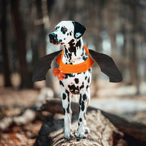 Disfraz Alas de Murciélago para perros y gatos Halloween talla L miniatura 3
