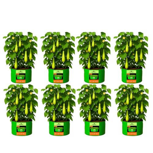 Image of Kingwell Grow Bag 24 X 18 INCH, PACK OF 8 For Terrace Garden Leafy Vegetable Plant Grow Bags Fruits Growing Containers For terrece Gardening (24 X 18 INCH, PACK OF 8)