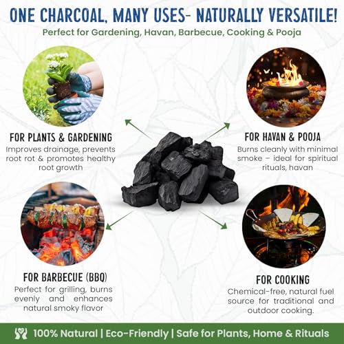 Image of Garden Genie Wood Charcoal for Plants 1 Kg| Horticultural Charcoal for Orchid Potting, Terrariums Plants Etc | Multipurpose Use for Havan, BBQ, Cooking, Pooja Dhoop & Gardening