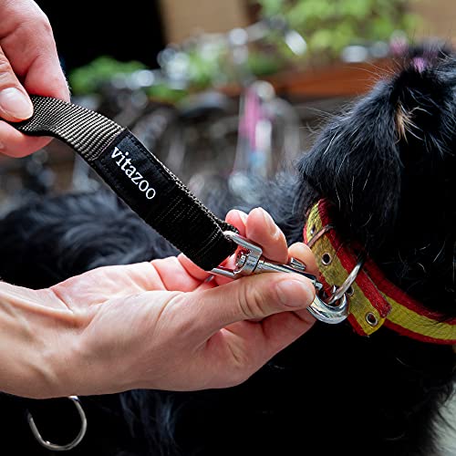 vitazoo Hundeleine in schwarz 2mx2,5cm, stabil und in 3 Längen verstellbar – auch als Führleine für große Hunde geeignet – bissfeste Welpenleine, Dog Leash