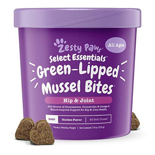 New Zealand Green Lipped Mussel Chewable Treats for Dogs - 500 mg Dog