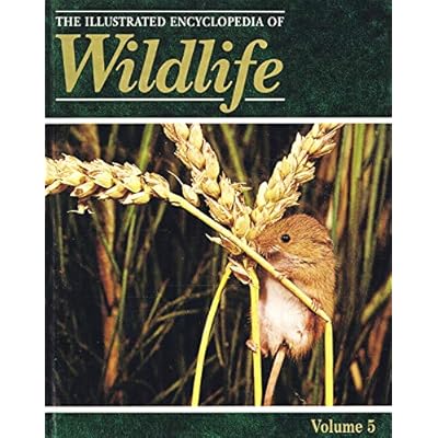 The Illustrated Encyclopedia Of Wildlife : Volume 5 : The Mouse Families - Myomorphs :