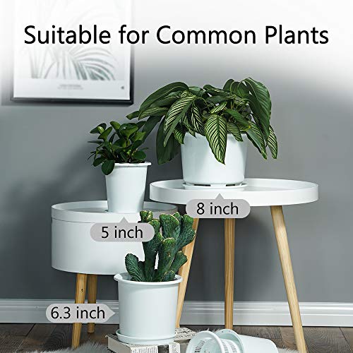 Meshpot 8 Inch Orchid Pots With Holes And Saucers,Double Layer Plastic Large Orchid Planter Pot,Flower Pots For Indoor Outdoor Flower Plants,Orchids,Herbs,Snake Plants And Succulents #TOP5