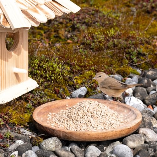 Lyra Pet® | 25 kg Sonnenblumenkerne Geschält Bruch | Wildvogelfutter Ganzjährig | Optimal für Jungtiere | Vogelfutter für Wildvögel | Wertvolles Streufutter | Energiespender für Sommer + Winter