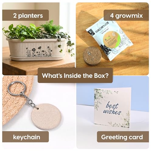 Image of Eha Earth-Friendly Printed Regalia Planters for Home Decor | 12 Inch, Pack of 2 with Growmix | Plant Gifts Made with Rice Husk Biocomposite | Flower Pot for Living Room| Sand Castle