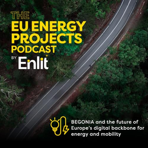 BEGONIA and the future of Europe&rsquo;s digital backbone for energy and mobility