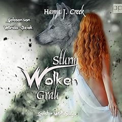 Sturmwolkengrau cover art