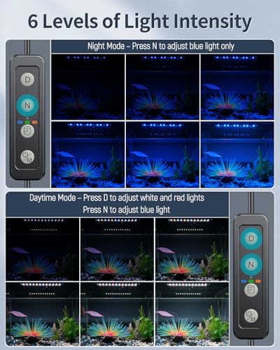 Image of Pawfly 6 W Extendable Aquarium LED Light for 6 to10 Inch Fish Tank with Full Spectrum Brilliant White Blue Red Lights with Daytime & Night Modes and Adjustable Brightness