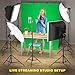 LINCO Lincostore Photo Video Studio Light Kit AM169 - Including 3 Color Backdrops (Black/White/Green) Background Screen