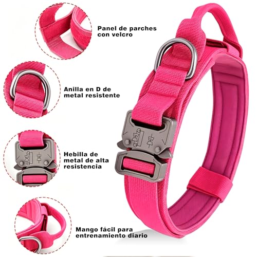 Collares para perros 5 Imagen adicional