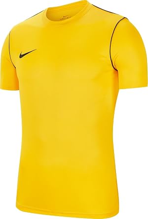 Nike Men's Polo Park 20 - Yellow Short Sleeve Polo Pack of 1