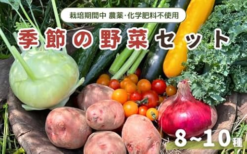 旬 季節の野菜 セット 詰め合わせ 8~10種